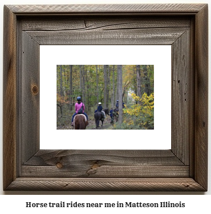 horse trail rides near me in Matteson, Illinois